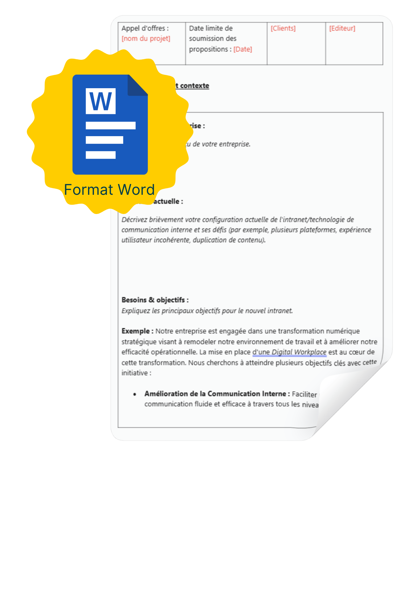 FR - Request For Proposal (RFP), Appel dOffres, Cahier de Charges (2)